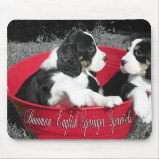 Springer Spaniel Mouse Pad