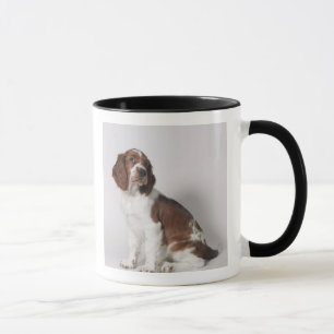 Springer spaniel mug