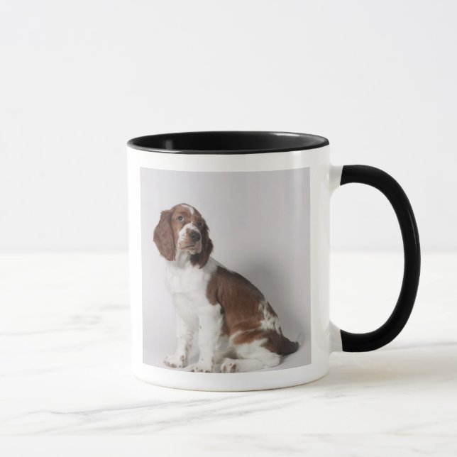 Springer spaniel mug (Right)