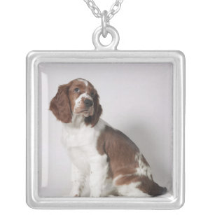 Springer spaniel silver plated necklace