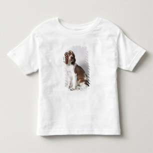 Springer spaniel toddler t-shirt