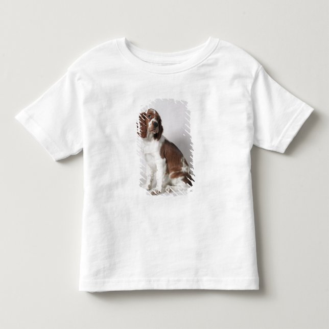 Springer spaniel toddler t-shirt (Front)