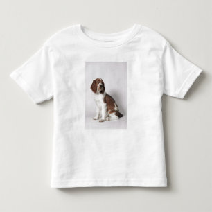 Springer spaniel toddler t-shirt