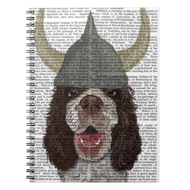 Springer Spaniel Viking Notebook (Front)