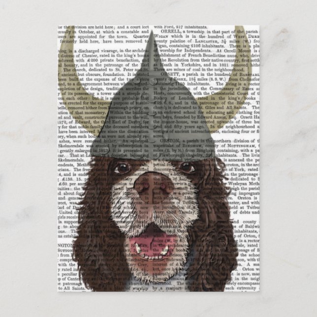 Springer Spaniel Viking Postcard (Front)