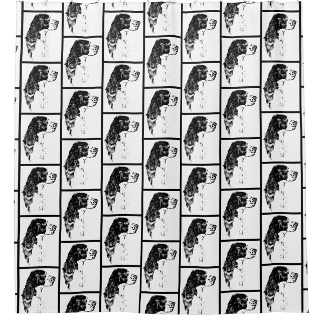 Springer Spaniel Vintage Art  (Front)