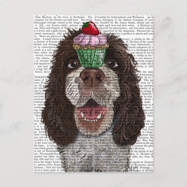 Springer Spaniel with Cupcake Postcard (Front)