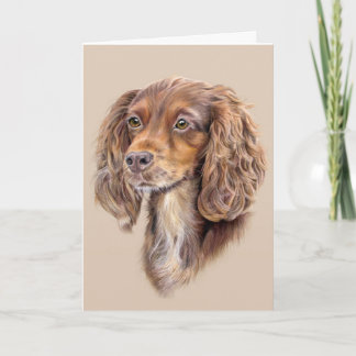 Springer Sprocker Cocker Spaniel Greetings Card