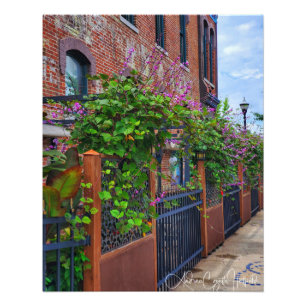 Springfield Missouri Street Photo Print