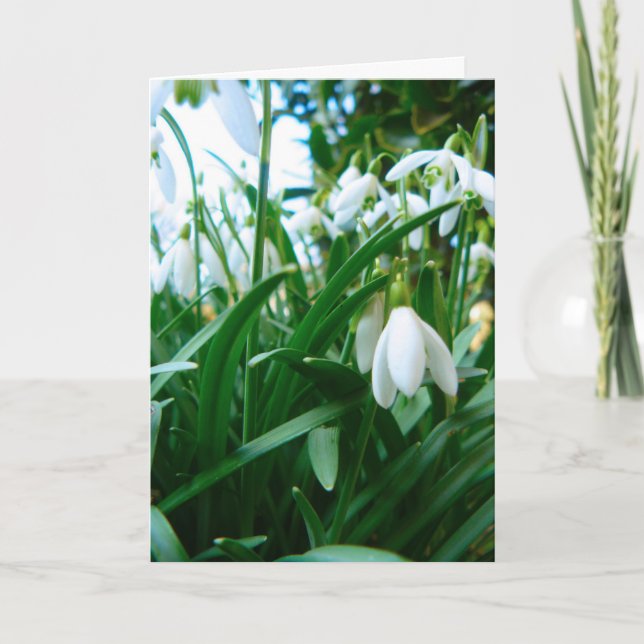 Springing Up Card (Front)