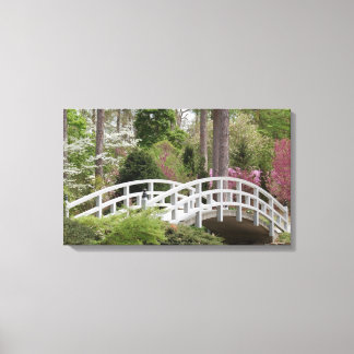 Spring's Bridge Canvas Print