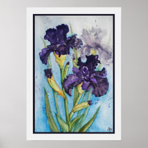Spring's Purple Iris Poster