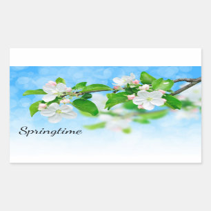Springtime (apple flowers) sticker