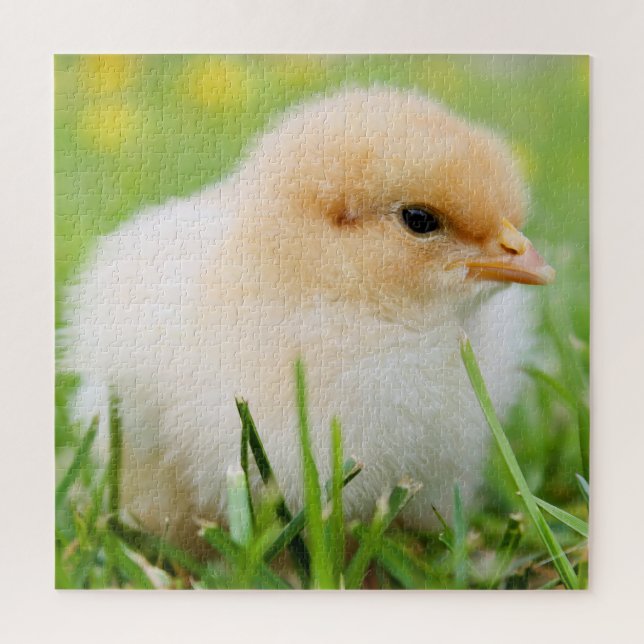 Springtime Baby Chick Jigsaw Puzzle (Vertical)