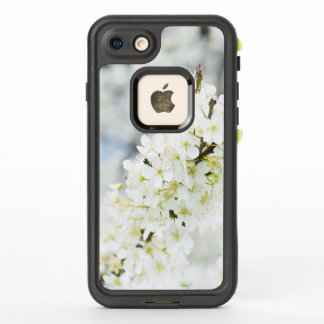 Springtime blooming