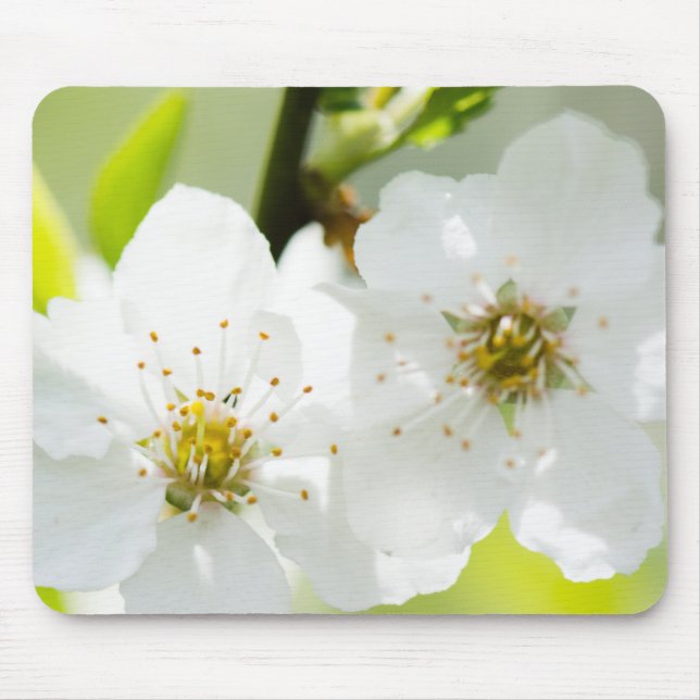 Springtime blooming mouse pad (Front)