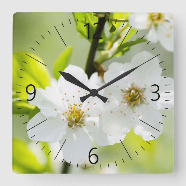 Springtime blooming square wall clock (Front)