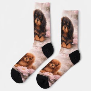 Springtime blossom Cavalier spaniel puppies Socks