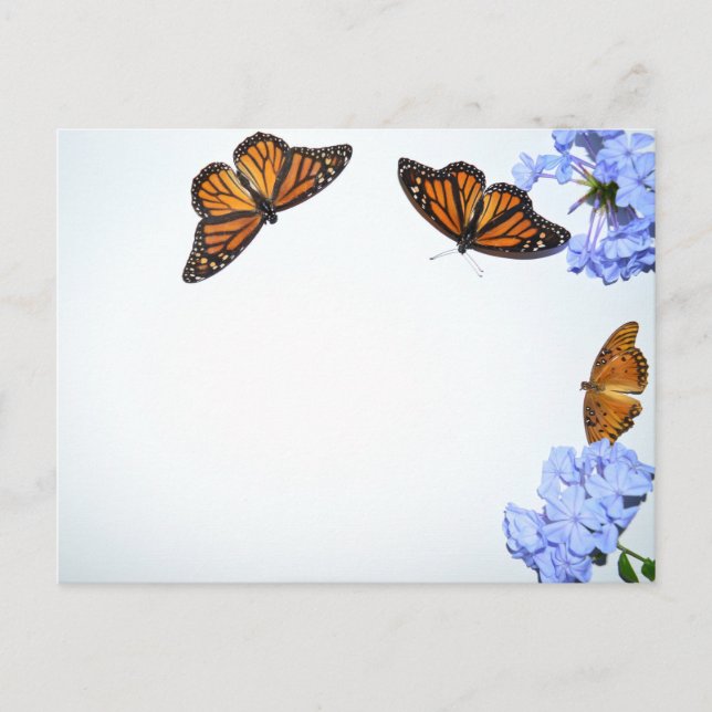 Springtime Butterflies Postcard (Front)