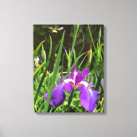 springtime canvas