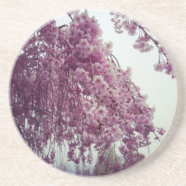 Springtime Coaster (Front)