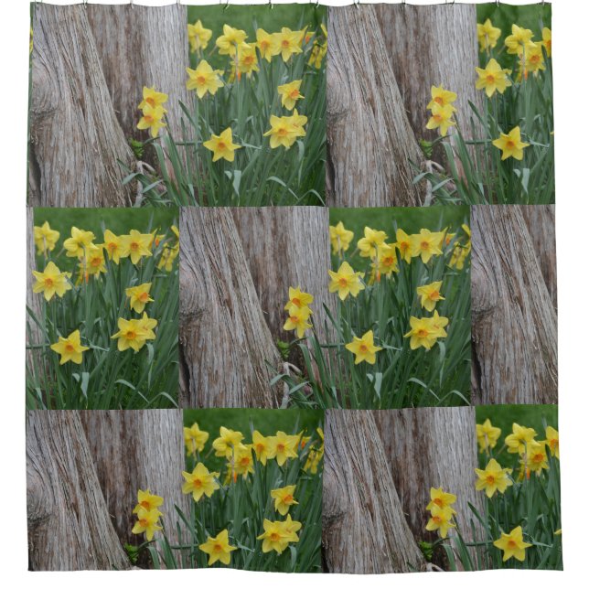 Springtime Daffodils (Front)