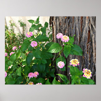 Springtime Duet Poster