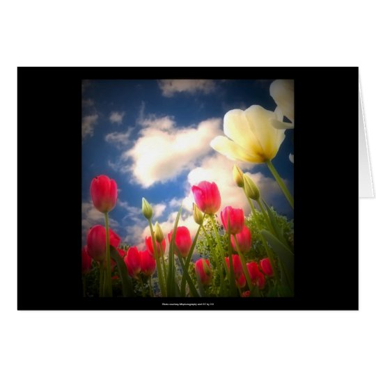 Springtime Flowers Collection I Card