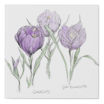 Springtime Flowers - Crocus