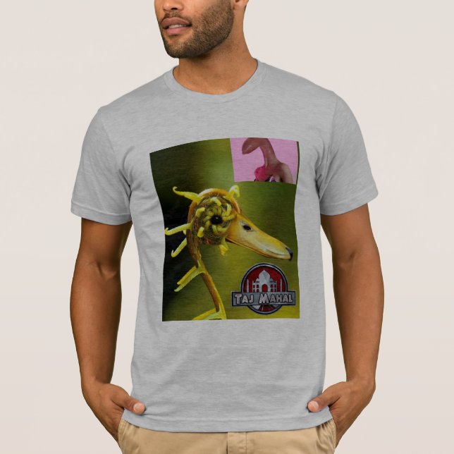 Springtime Goose has-sprung T-Shirt (Front)