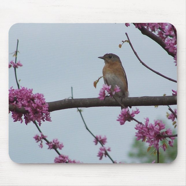 Springtime Greetings Mouse Pad (Front)