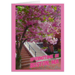 Springtime in Boston, MA