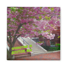 Springtime in Boston, MA