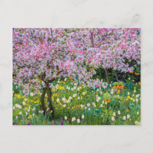 Springtime in Claude Monet's garden Postcard