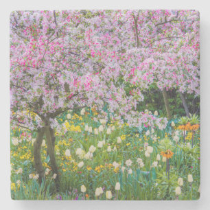 Springtime in Claude Monet's garden Stone Coaster