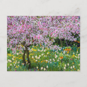 Springtime in Claude Monet's Garden   Thank You Postcard