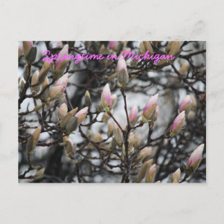 Springtime in Michigan Postcard