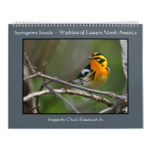 Springtime Jewels - Warblers Calendar