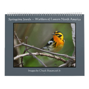 Springtime Jewels - Warblers Calendar