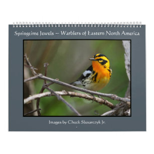Springtime Jewels - Warblers Calendar