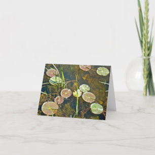Springtime Lily Pads Note Card