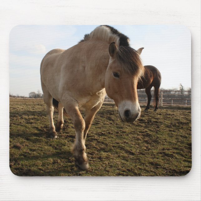 Springtime Mouse Pad (Front)