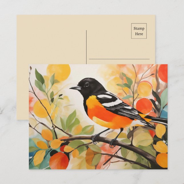 Springtime Nature's Charm Bird Baltimore Oriole Postcard (Front/Back)