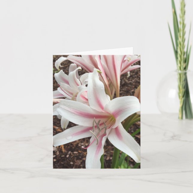 springtime note card #2 (Front)