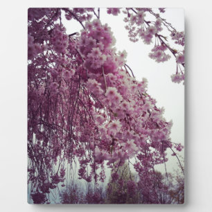 Springtime Plaque