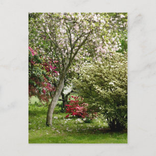 Springtime Postcard