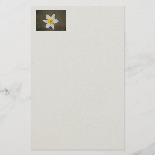 Springtime Stationery (Front)