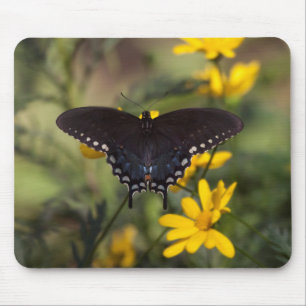 Springtime Swallowtail Butterfly Mouse Pad
