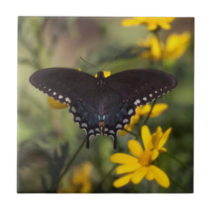Springtime Swallowtail Tile