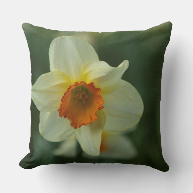 Springtime Throw Pillow (Front)